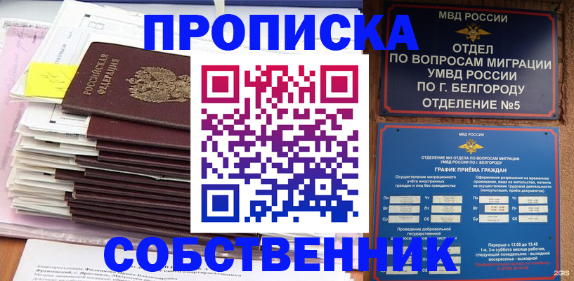 прописка законно в Канске